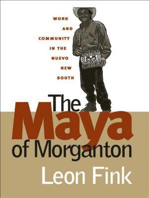 The Maya of Morganton 1