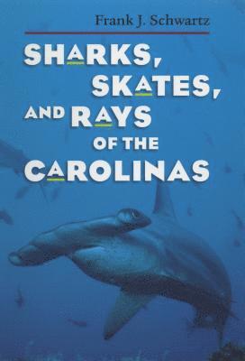 bokomslag Sharks, Skates, and Rays of the Carolinas