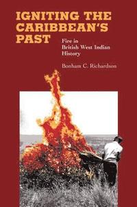 bokomslag Igniting the Caribbean's Past: Fire in British West Indian History