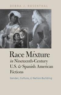 bokomslag Race Mixture in Nineteenth-Century U.S. and Spanish American Fictions