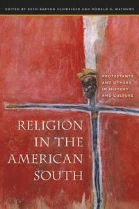 bokomslag Religion in the American South: Protestants and Others in History and Culture