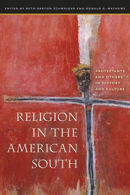 bokomslag Religion in the American South: Protestants and Others in History and Culture