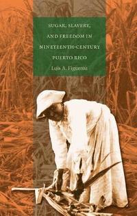 bokomslag Sugar, Slavery, and Freedom in Nineteenth-Century Puerto Rico