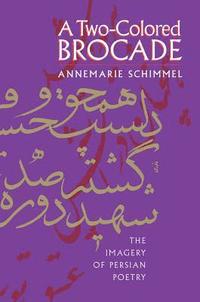 bokomslag A Two-Colored Brocade: The Imagery of Persian Poetry