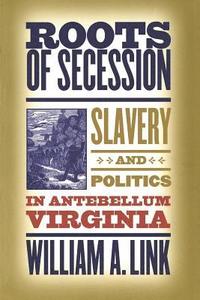 bokomslag Roots of Secession