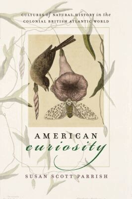 Susan Scott Parrish - American Curiosity, Häftad