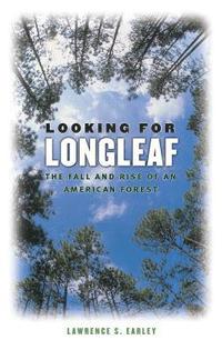 bokomslag Looking for Longleaf