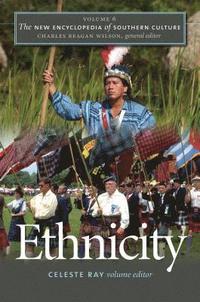 bokomslag Ethnicity