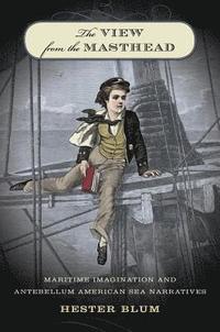 bokomslag The View from the Masthead: Maritime Imagination and Antebellum American Sea Narratives