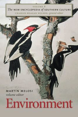 Charles Reagan Wilson - New Encyclopedia of Southern Culture, Häftad