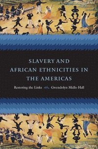 bokomslag Slavery and African Ethnicities in the Americas