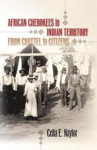 bokomslag African Cherokees in Indian Territory: From Chattel to Citizens