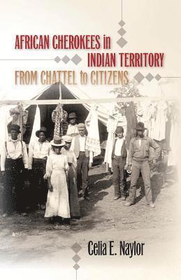 bokomslag African Cherokees in Indian Territory: From Chattel to Citizens