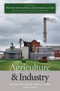 bokomslag Agriculture and Industry