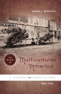 bokomslag The Rise of Multicultural America