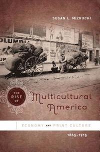 bokomslag The Rise of Multicultural America: Economy and Print Culture, 1865-1915