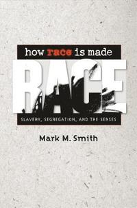 bokomslag How Race Is Made: Slavery, Segregation, and the Senses