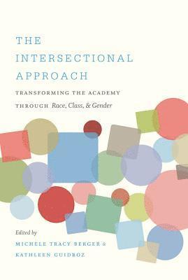 The Intersectional Approach 1