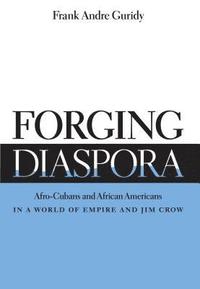 bokomslag Forging Diaspora