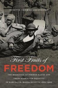 bokomslag First Fruits of Freedom: The Migration of Former Slaves and Their Search for Equality in Worcester, Massachusetts, 1862-1900