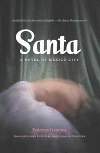 bokomslag Santa: A Novel of Mexico City
