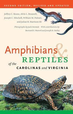bokomslag Amphibians & Reptiles of the Carolinas and Virginia