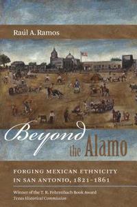 bokomslag Beyond the Alamo