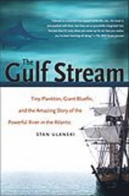 The Gulf Stream 1