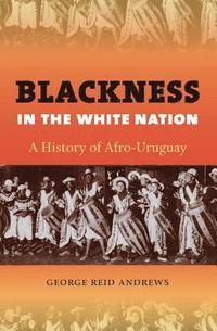 bokomslag Blackness in the White Nation