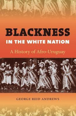 bokomslag Blackness in the White Nation