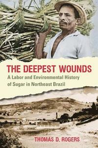 bokomslag The Deepest Wounds: A Labor and Environmental History of Sugar in Northeast Brazil