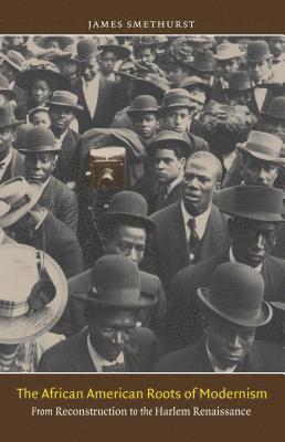 bokomslag The African American Roots of Modernism: From Reconstruction to the Harlem Renaissance