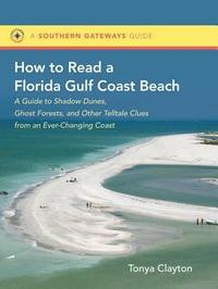 bokomslag How to Read a Florida Gulf Coast Beach