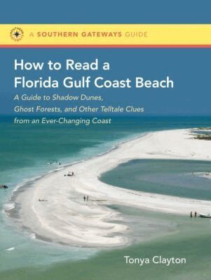 Tonya Clayton - How to Read a Florida Gulf Coast Beach, Häftad