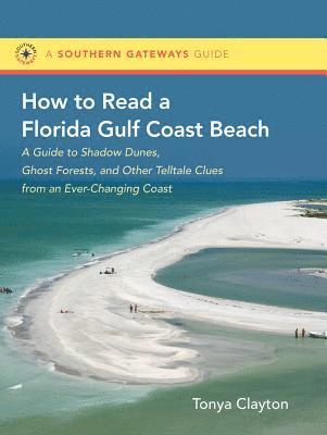 bokomslag How to Read a Florida Gulf Coast Beach