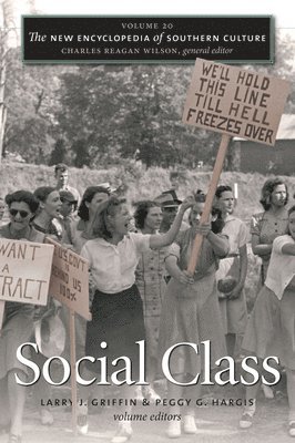 bokomslag The New Encyclopedia of Southern Culture: Volume 20: Social Class