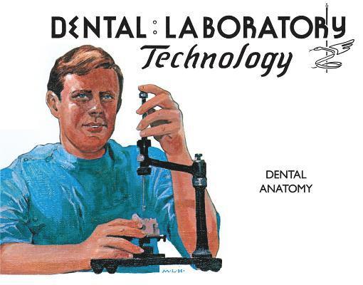 Dental Anatomy 1