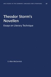 bokomslag Theodor Storm's Novellen