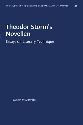 bokomslag Theodor Storm's Novellen