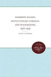 bokomslag Woodrow Wilson, Revolutionary Germany, and Peacemaking, 1918-1919