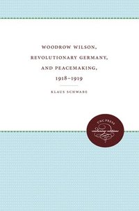 bokomslag Woodrow Wilson, Revolutionary Germany, and Peacemaking, 1918-1919: Missionary Diplomacy and the Realities of Power