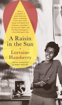 bokomslag Raisin in the Sun