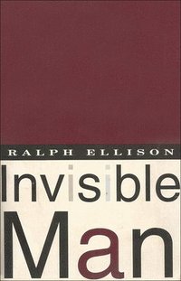 bokomslag Invisible Man