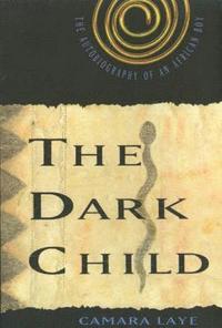 bokomslag Dark Child