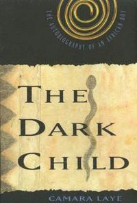 bokomslag The Dark Child