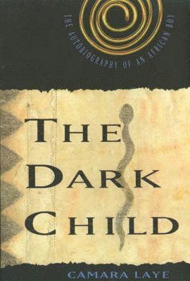 bokomslag The Dark Child