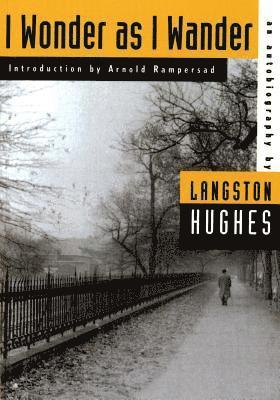 Hughes - I Wonder as I Wander, Häftad