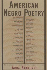 bokomslag American Negro Poetry