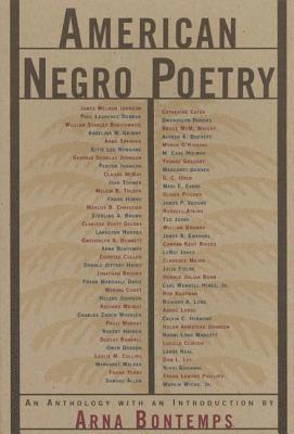 bokomslag American Negro Poetry