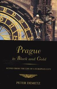bokomslag Prague in Black and Gold: Scenes from the Life of a European City